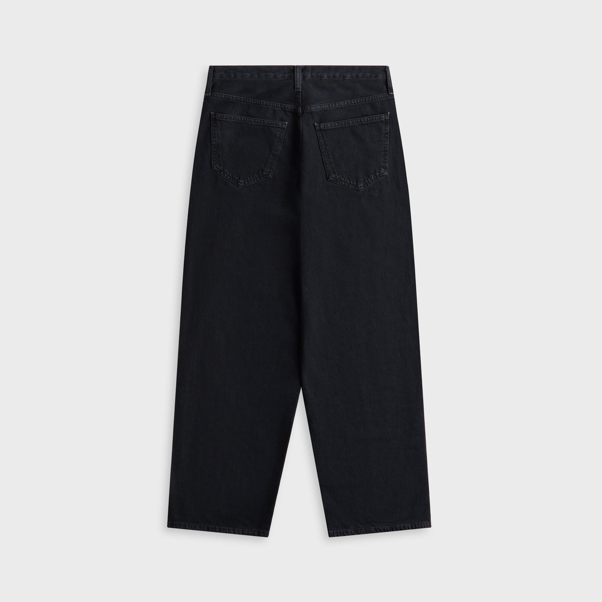 Agolde Low Slung Baggy Jeans in Crushed